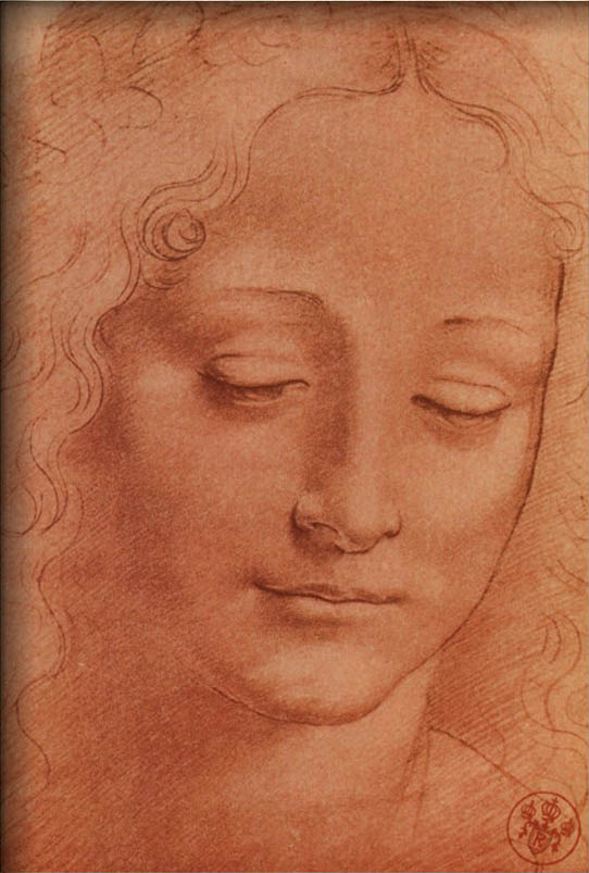 Testa di Giovinetta By Leonardo Da Vinci